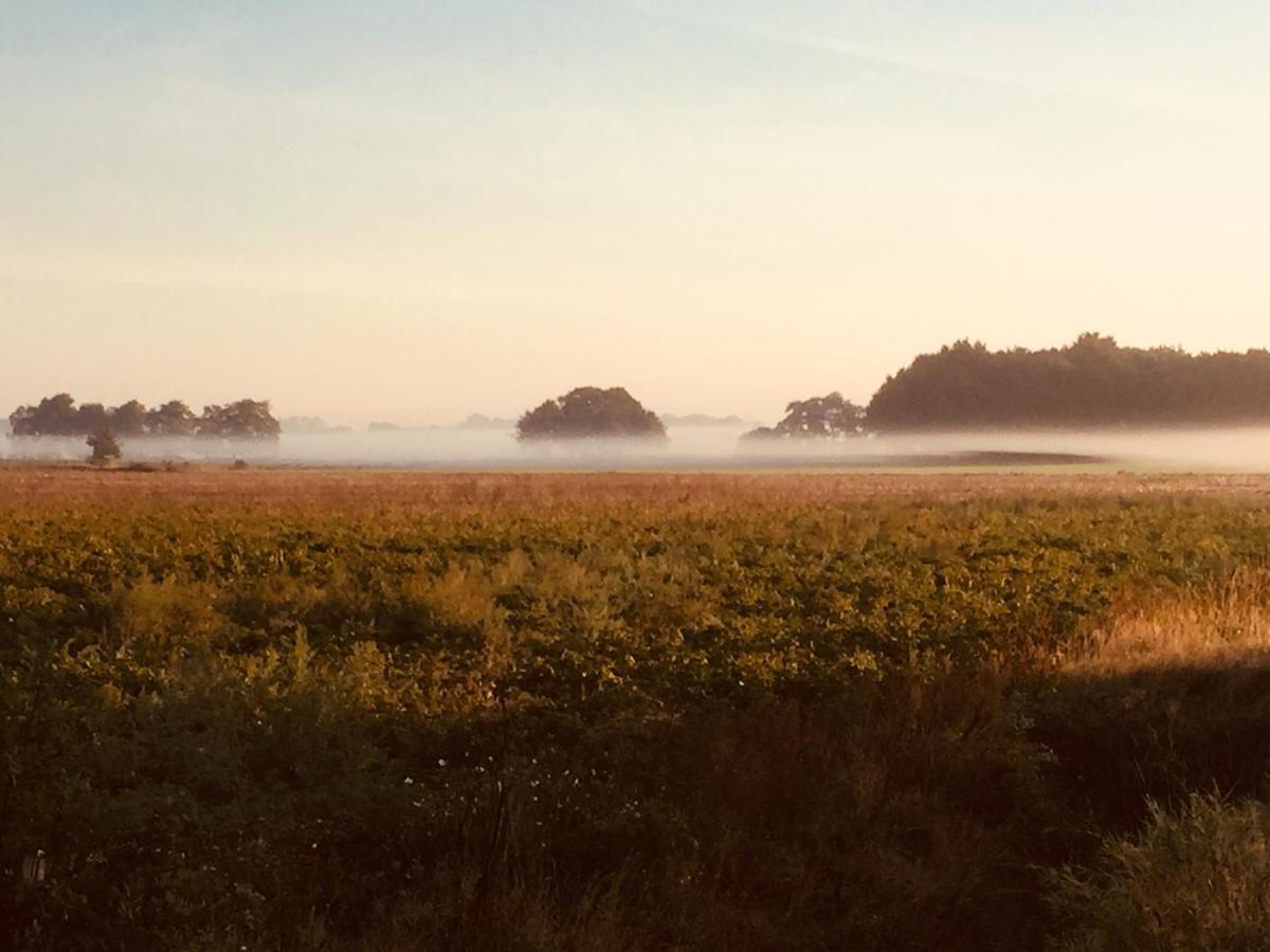 De Distelweide Bed and Breakfast Holsloot Buitenkant foto