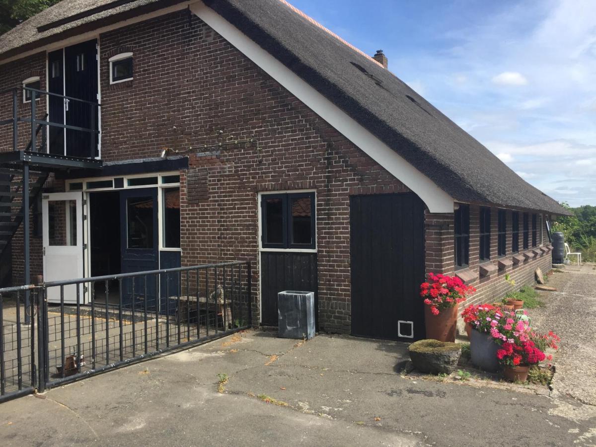 De Distelweide Bed and Breakfast Holsloot Buitenkant foto