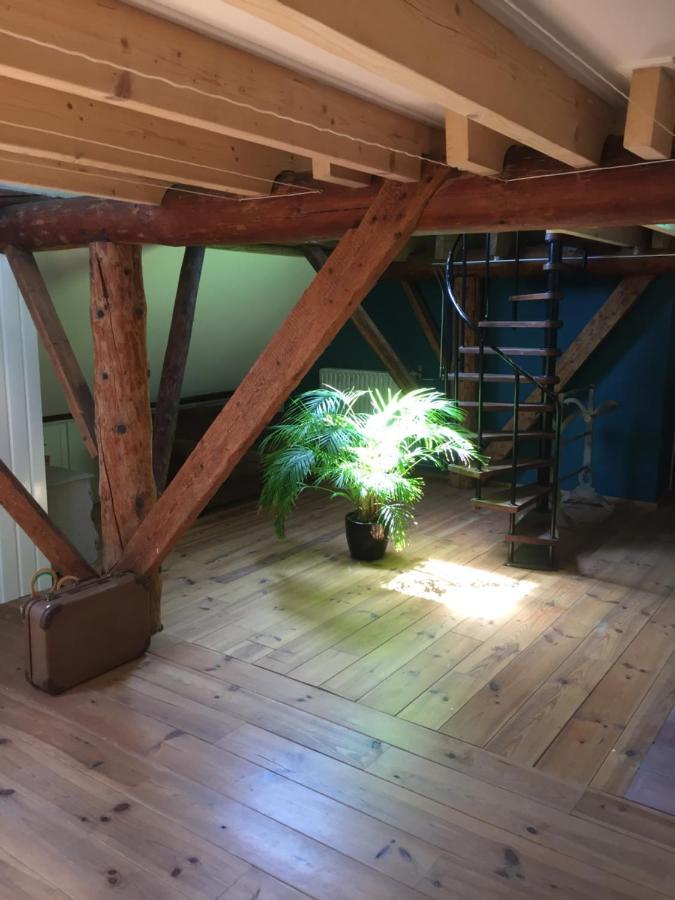 De Distelweide Bed and Breakfast Holsloot Buitenkant foto
